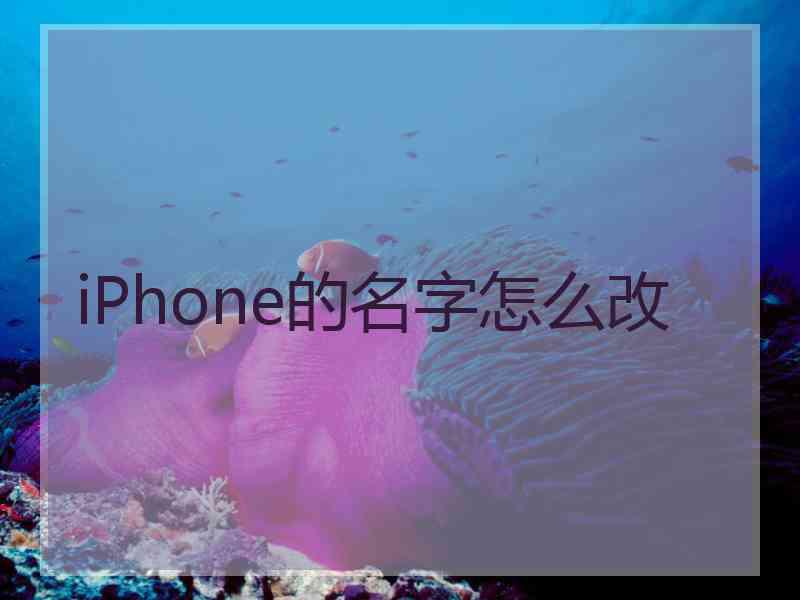 iPhone的名字怎么改