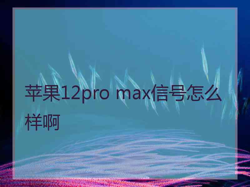 苹果12pro max信号怎么样啊