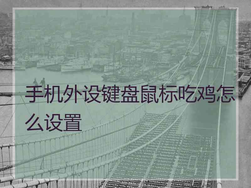 手机外设键盘鼠标吃鸡怎么设置