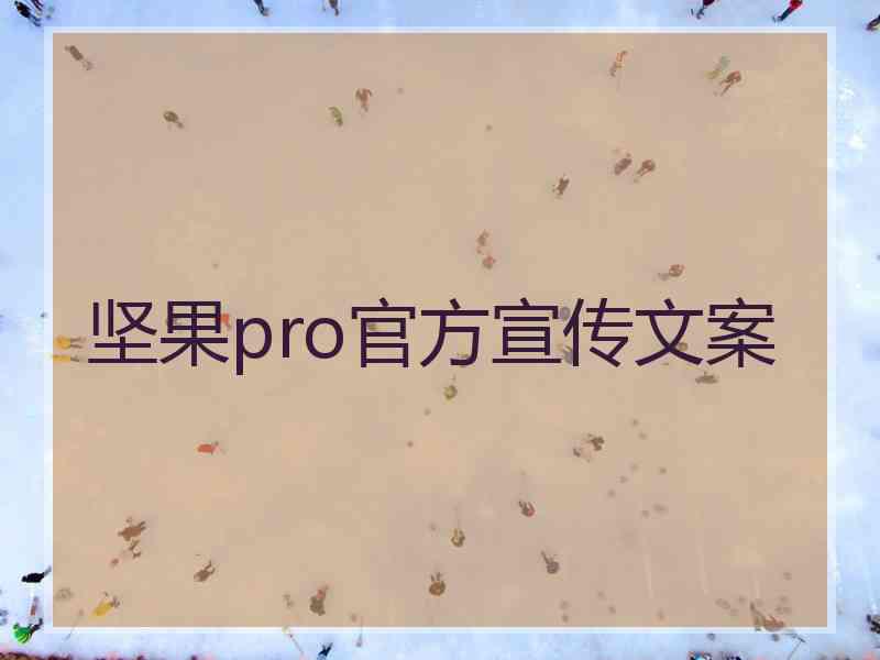 坚果pro官方宣传文案