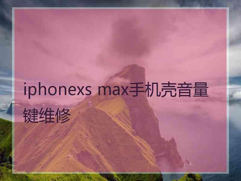 iphonexs max手机壳音量键维修