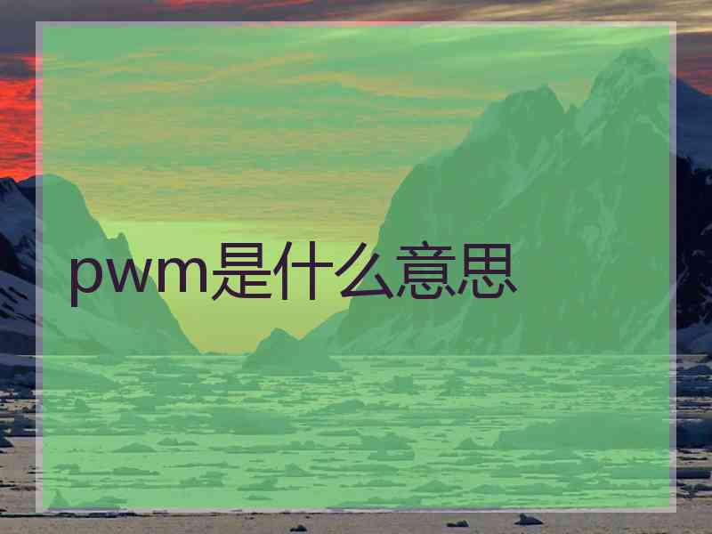 pwm是什么意思