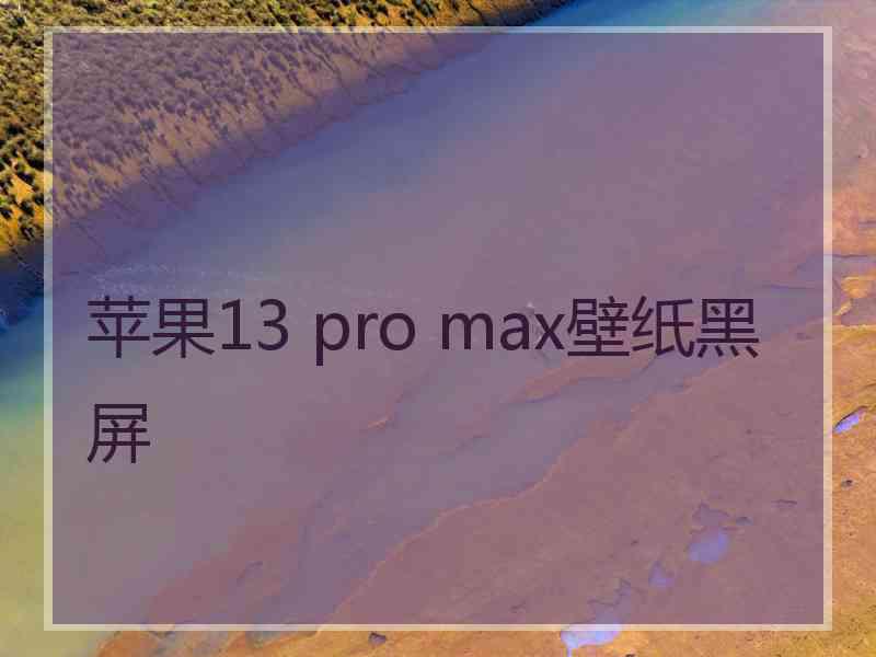 苹果13 pro max壁纸黑屏