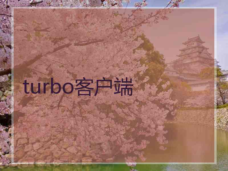 turbo客户端