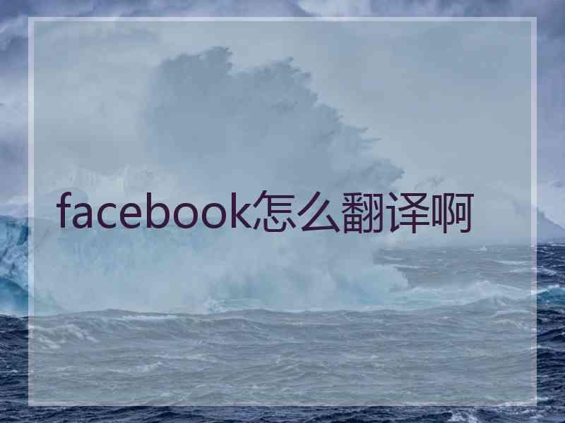 facebook怎么翻译啊