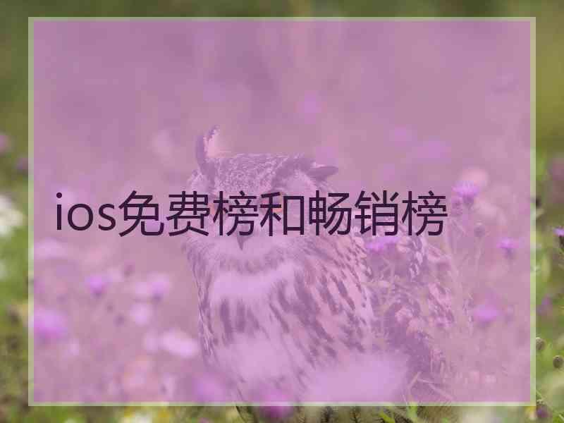 ios免费榜和畅销榜