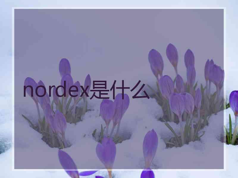 nordex是什么