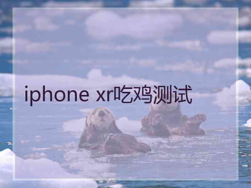 iphone xr吃鸡测试