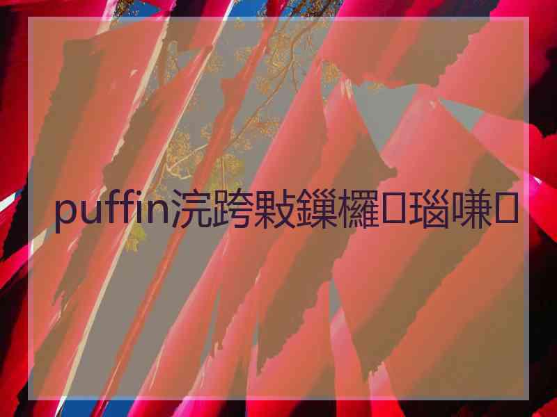 puffin浣跨敤鏁欏瑙嗛