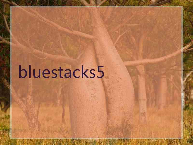 bluestacks5