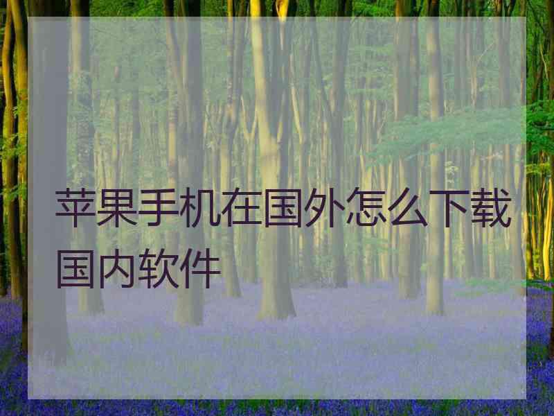 苹果手机在国外怎么下载国内软件