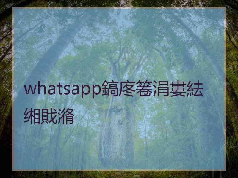 whatsapp鎬庝箞涓婁紶缃戝潃