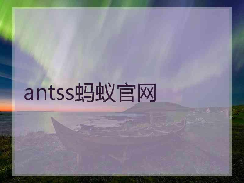 antss蚂蚁官网