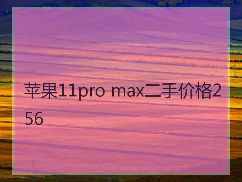 苹果11pro max二手价格256