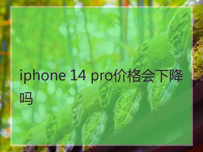 iphone 14 pro价格会下降吗