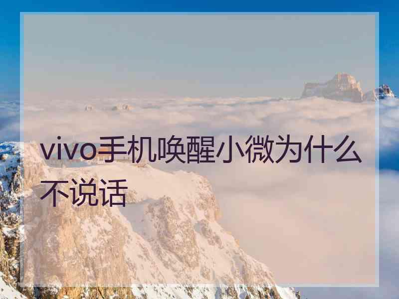 vivo手机唤醒小微为什么不说话