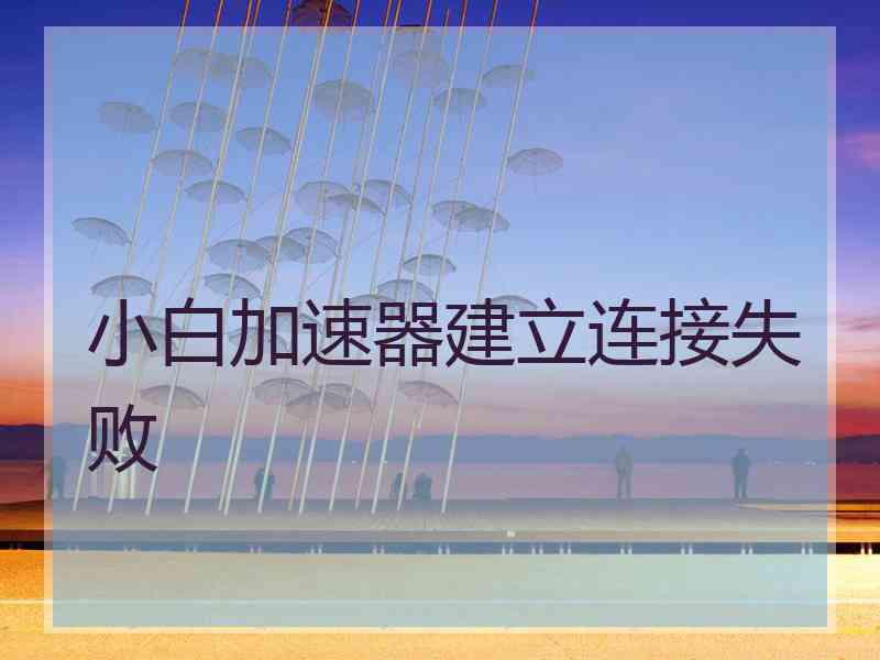 小白加速器建立连接失败