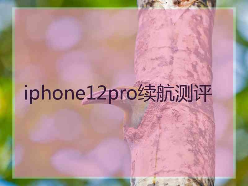 iphone12pro续航测评