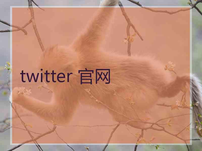 twitter 官网