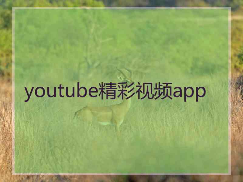 youtube精彩视频app