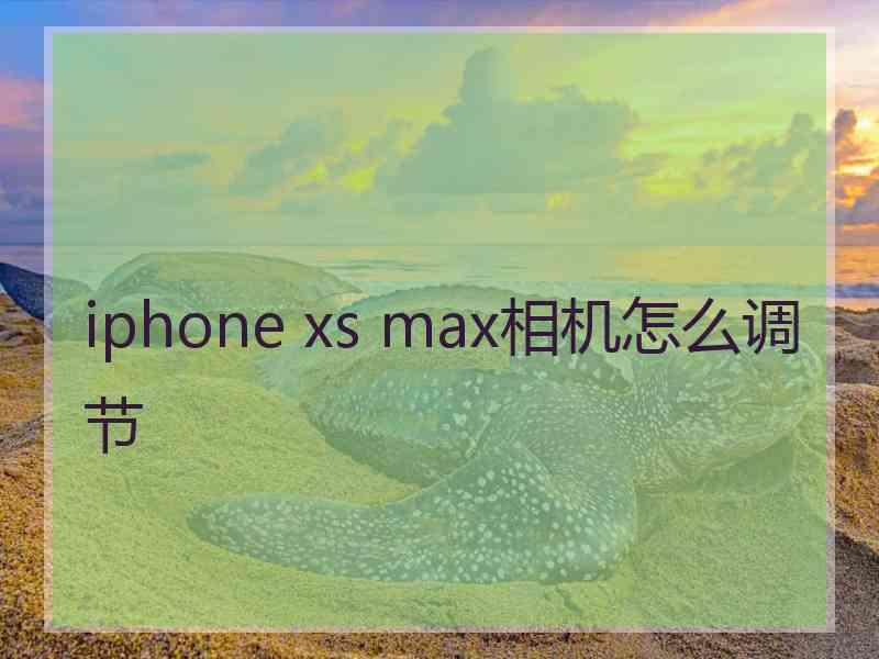 iphone xs max相机怎么调节