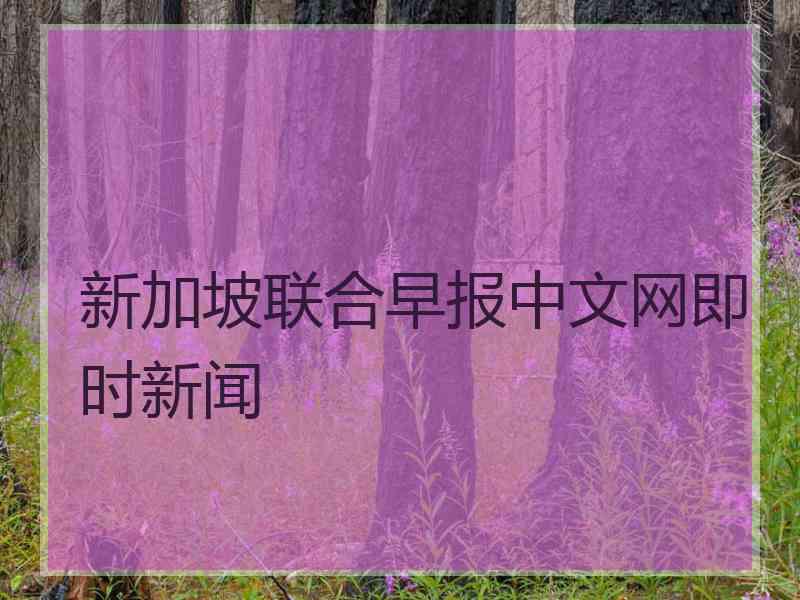 新加坡联合早报中文网即时新闻