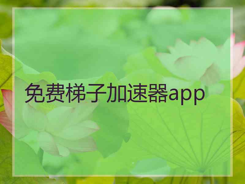 免费梯子加速器app