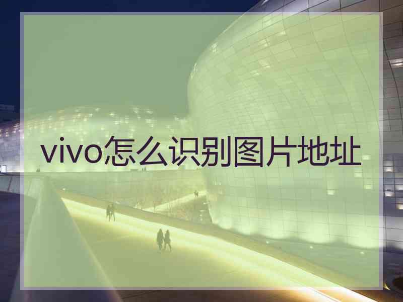 vivo怎么识别图片地址