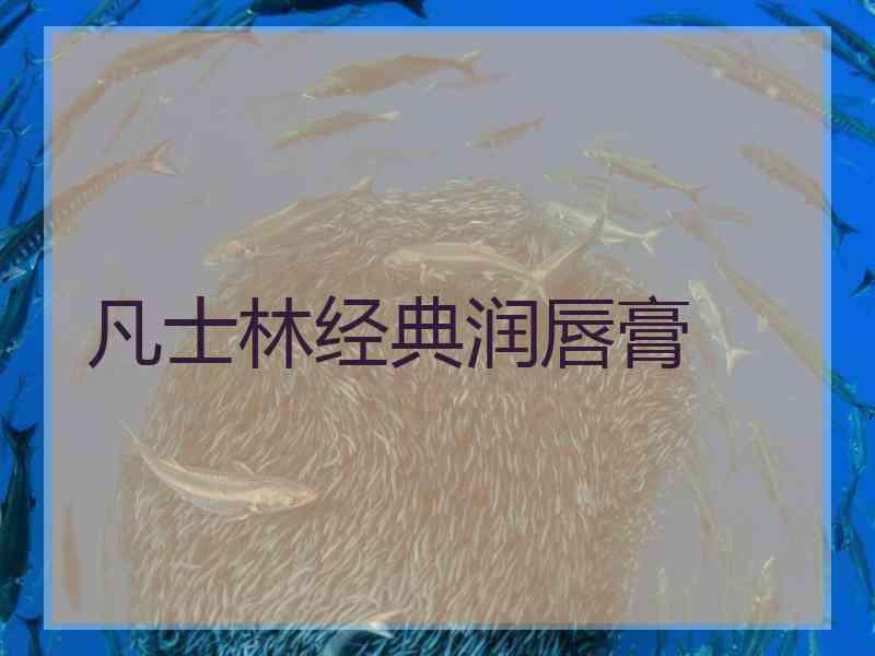 凡士林经典润唇膏