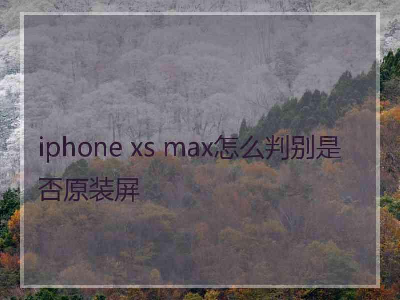 iphone xs max怎么判别是否原装屏