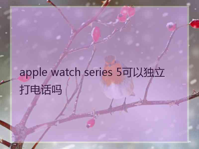 apple watch series 5可以独立打电话吗