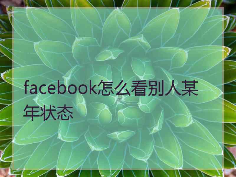 facebook怎么看别人某年状态