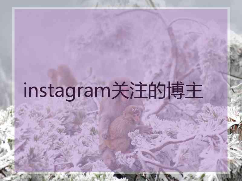 instagram关注的博主