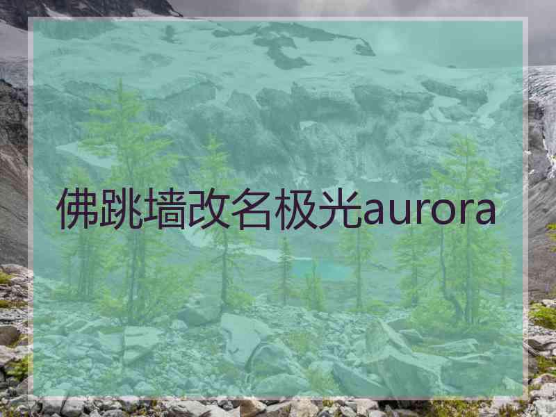 佛跳墙改名极光aurora