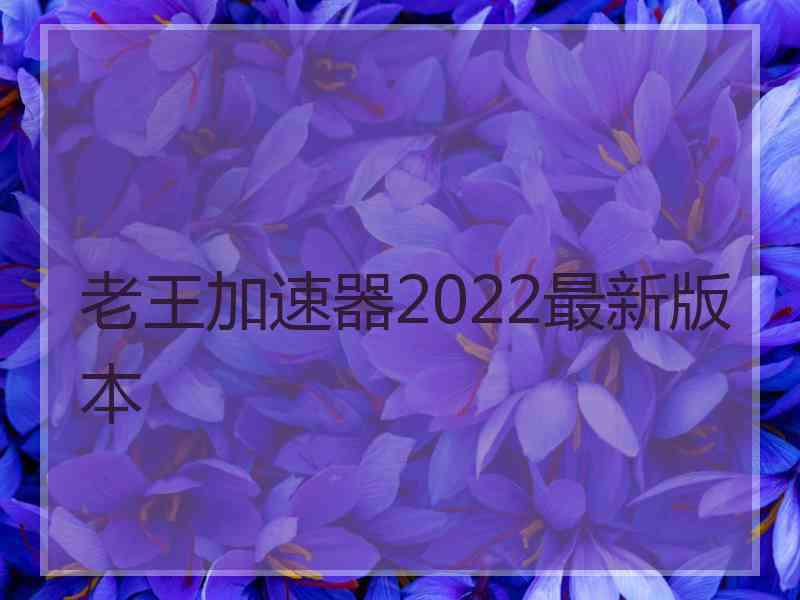 老王加速器2022最新版本