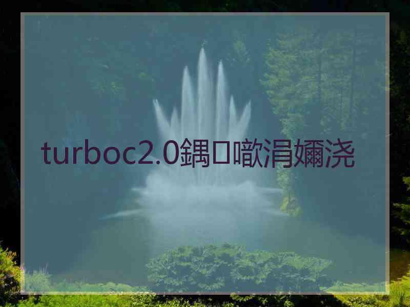 turboc2.0鍝噷涓嬭浇