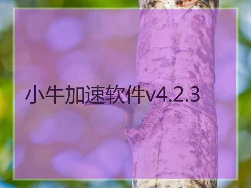 小牛加速软件v4.2.3