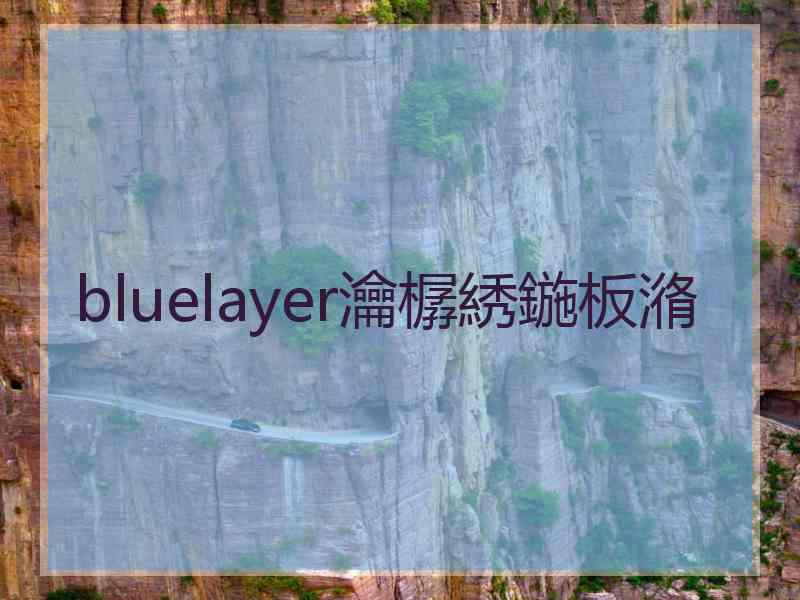 bluelayer瀹樼綉鍦板潃