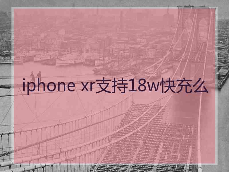 iphone xr支持18w快充么