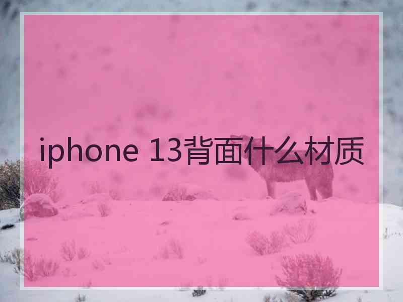 iphone 13背面什么材质