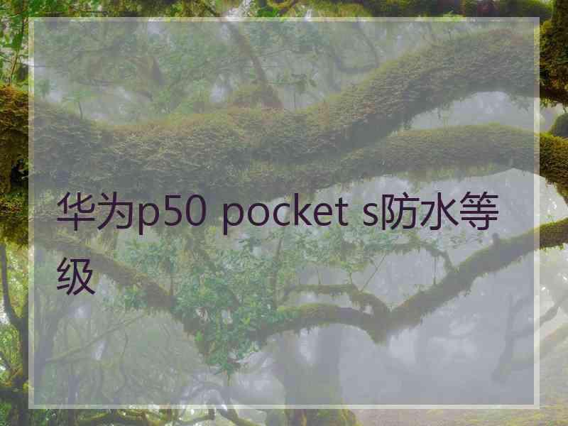 华为p50 pocket s防水等级