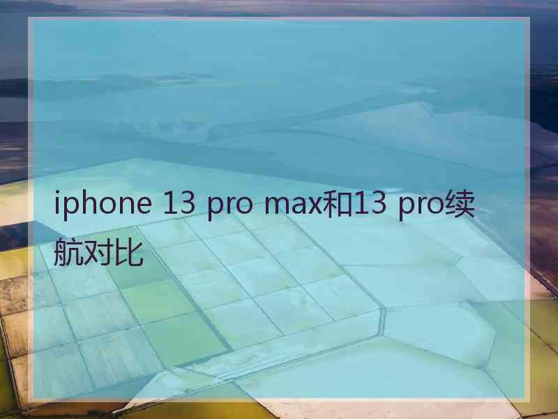 iphone 13 pro max和13 pro续航对比