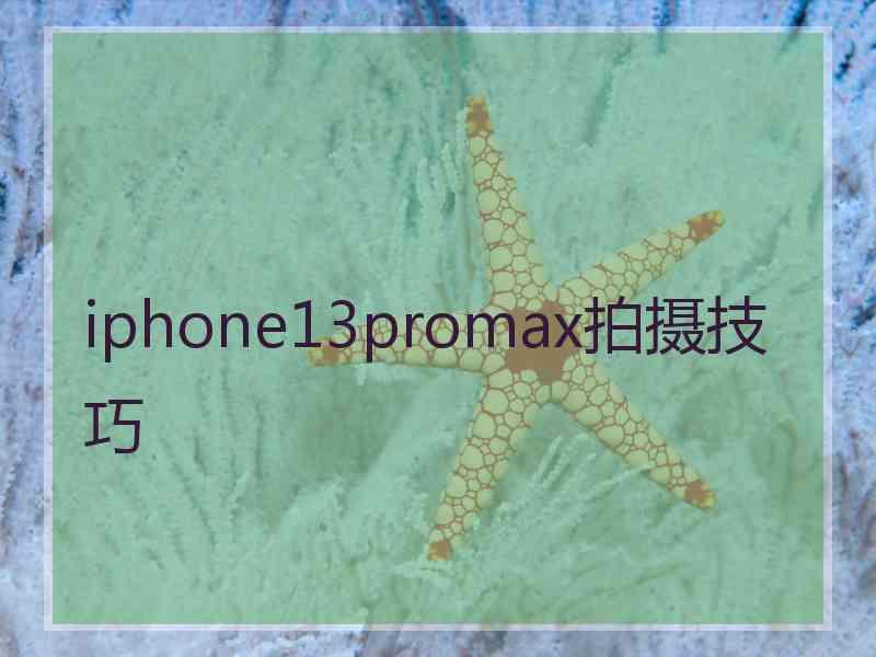 iphone13promax拍摄技巧