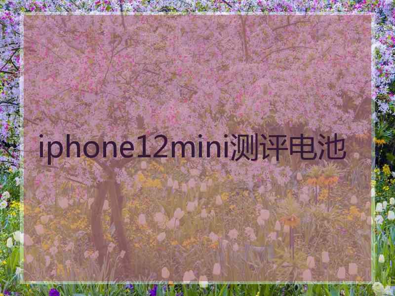 iphone12mini测评电池