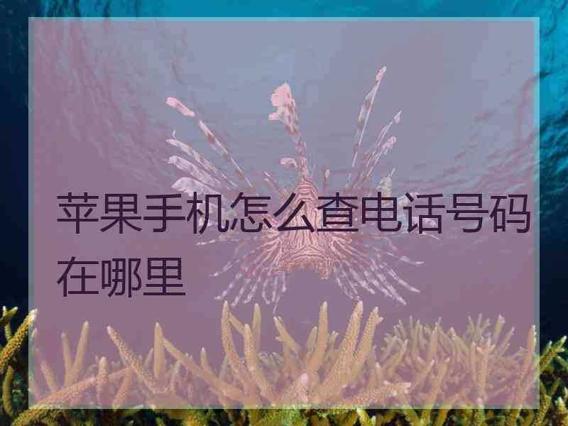 苹果手机怎么查电话号码在哪里