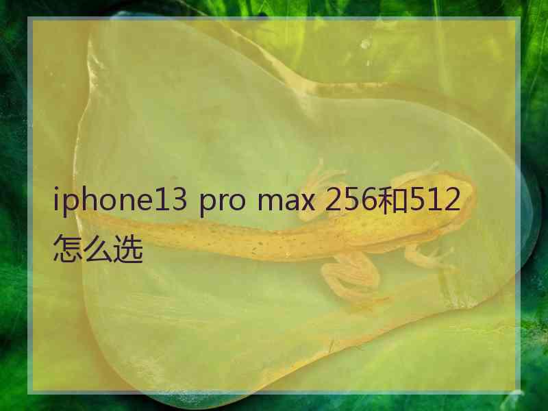 iphone13 pro max 256和512怎么选