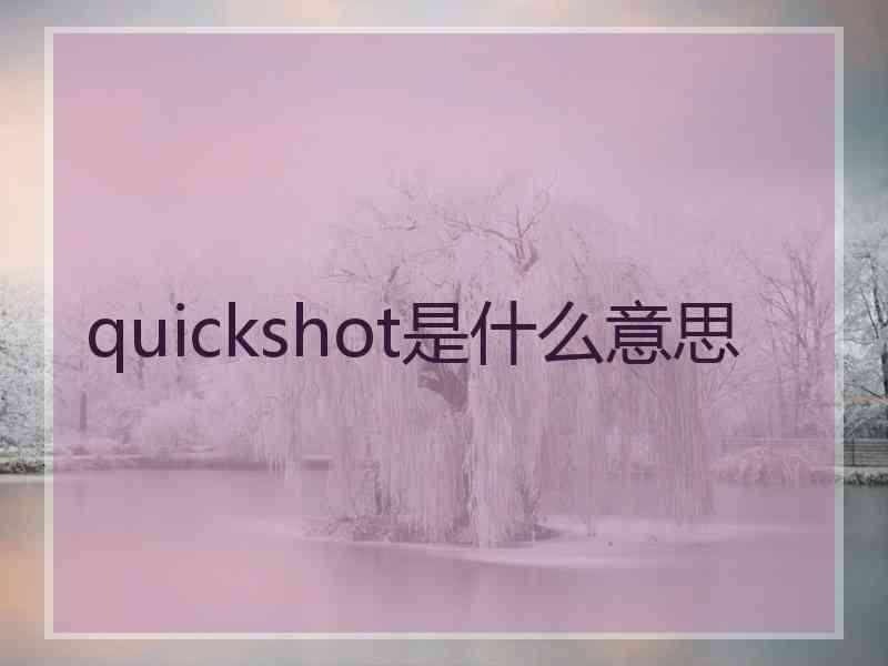 quickshot是什么意思