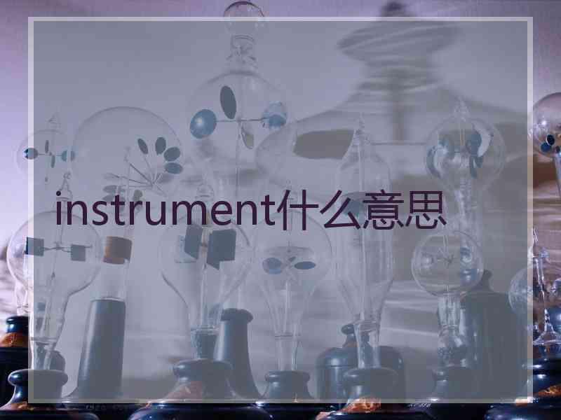 instrument什么意思