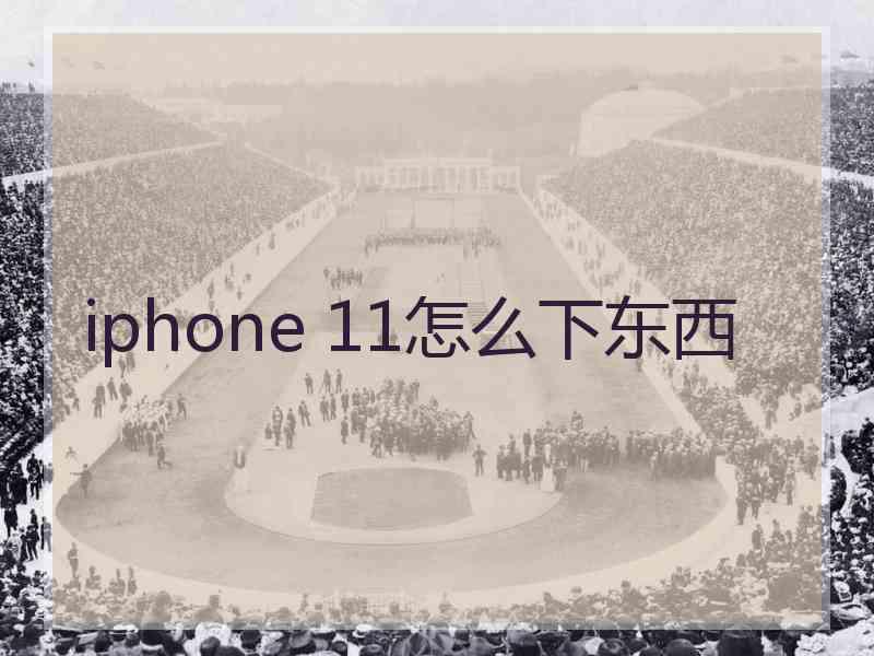 iphone 11怎么下东西