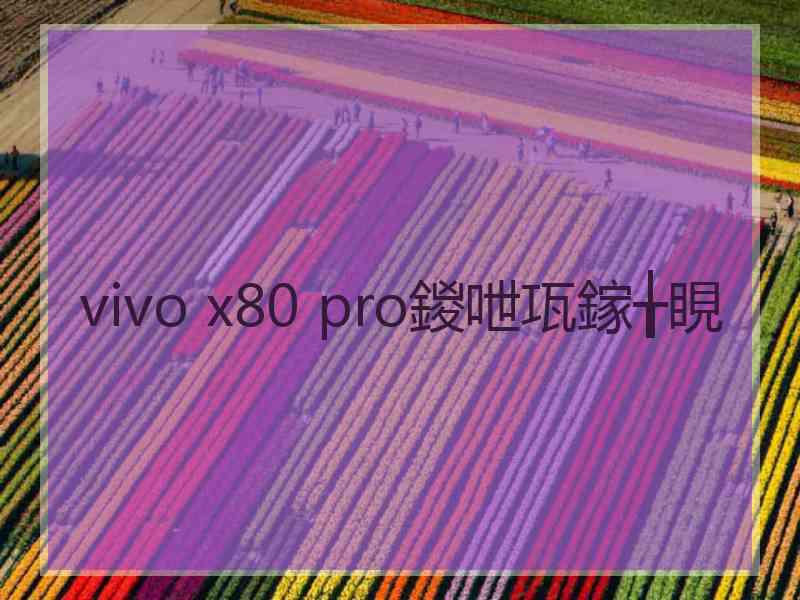 vivo x80 pro鍐呭瓨鎵╁睍